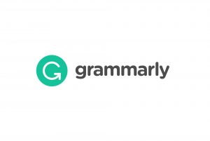 Grammarly uses Vuejs
